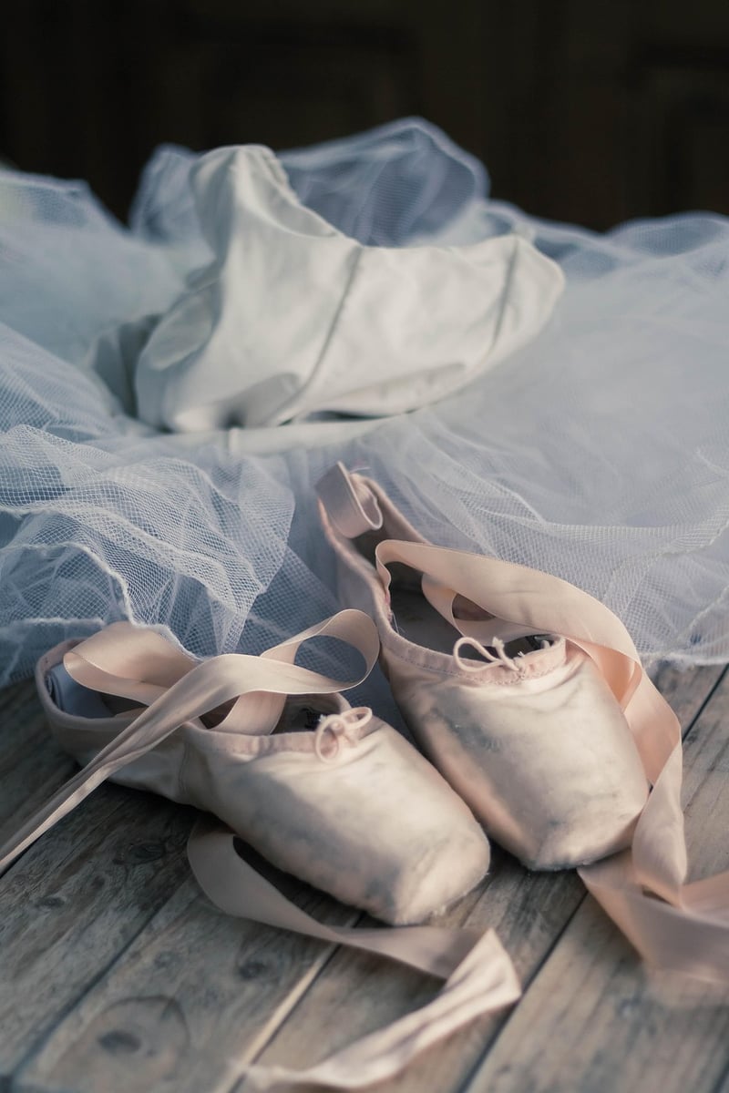 Booty Barre Image